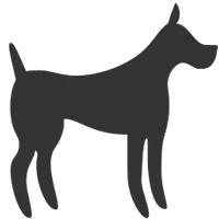 Du betrachtest gerade Reisen mit dem Hund